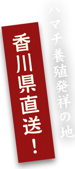 香川県直送