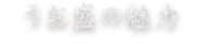 うお盛の魅力