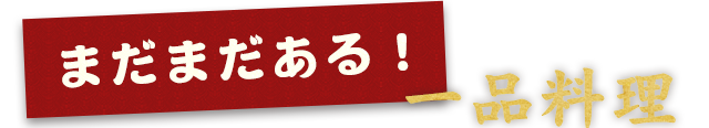 まだまだある！一品料理